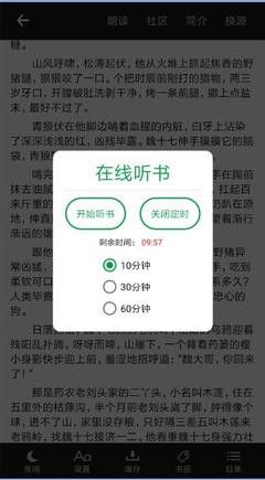 爱游戏体育app冠名意甲